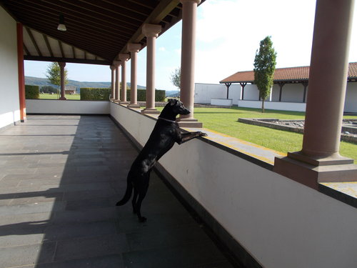 Secon Ebinger 9 2014 151.jpg