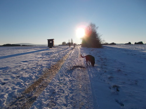 Secon Ebinger 9 2014 270.jpg