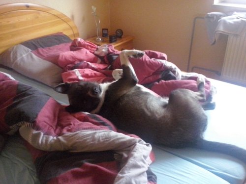 2014-03-15 09.41.26 (640x480).jpg