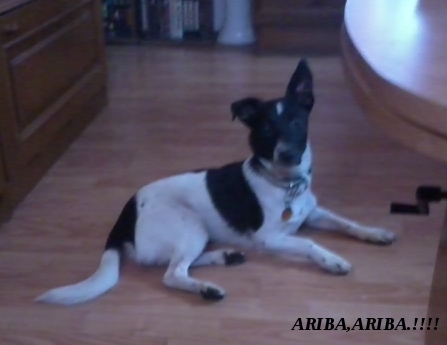 2014-11-18 14.00.32(1).jpg