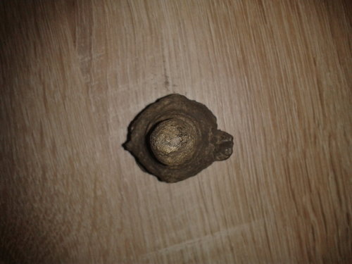 2013-08-19 22.53.16.jpg