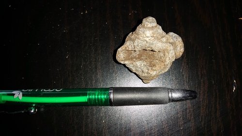 20150509_104020.jpg (2.23 MiB) 1150-mal betrachtet 20150509_104020.jpg