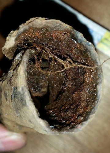 2015-10-13 20.18.17.jpg