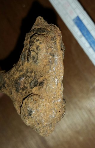 2015-10-13 19.42.36.jpg