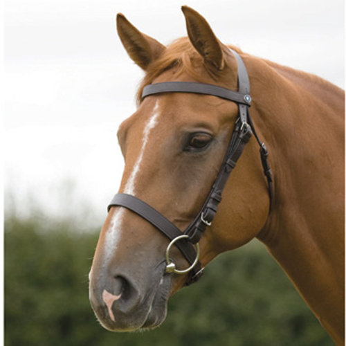 shires 4213 brwn.JPG