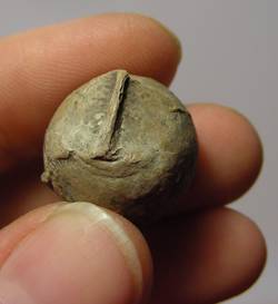 C__Data_Users_DefApps_AppData_INTERNETEXPLORER_Temp_Saved Images_3925641bc1.jpg