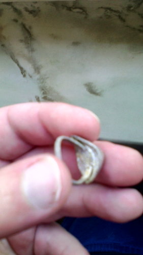 ring_2.jpg