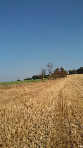 äääääääääääääää 069.jpg