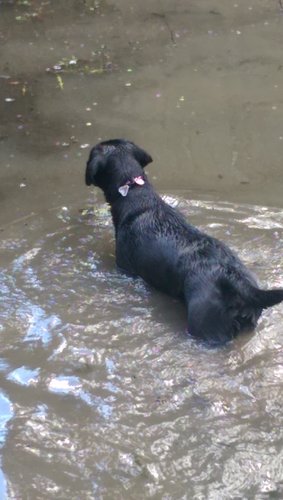 2015-04-05 14.47.11.jpg