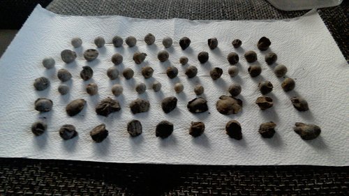 P_20170409_070228.jpg (965.51 KiB) 2226-mal betrachtet P_20170409_070228.jpg