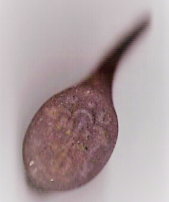 gespiegelt und gefiltert2.png