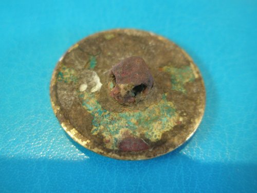 veterinärknopf 2.JPG