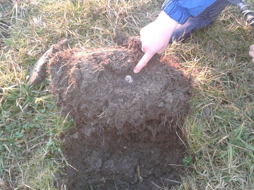 20140220_171322.jpg (1.47 MiB) 836-mal betrachtet 20140220_171322.jpg