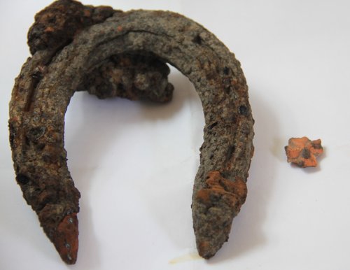 Hufeisen und Button.jpg