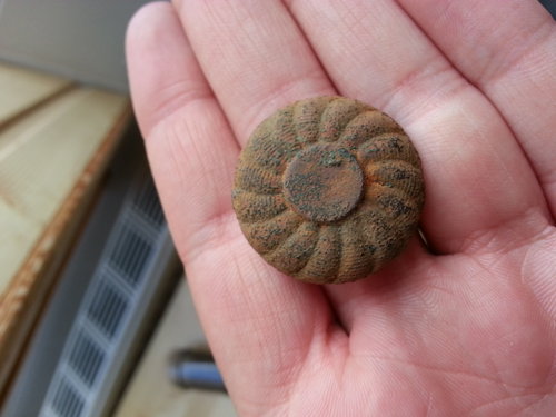 20140626_173256.jpg (1.54 MiB) 1411-mal betrachtet 20140626_173256.jpg