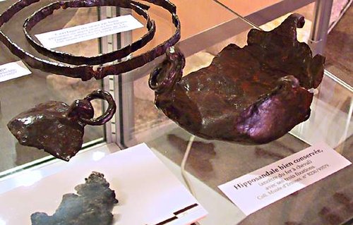 Hipposandal-ermont.jpg (36.79 KiB) 2496-mal betrachtet Hipposandal-ermont.jpg