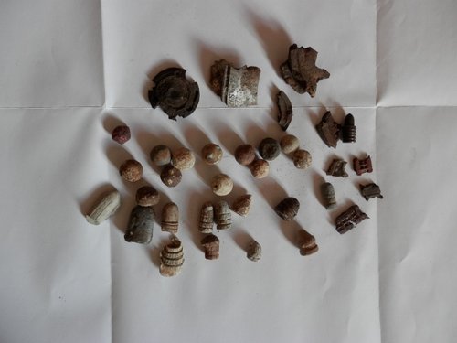 P7190049 (640x480).jpg