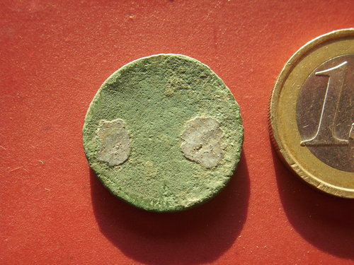 scheibenfibel 003.JPG