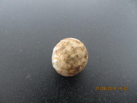 IMG_1854 - Kopie.JPG