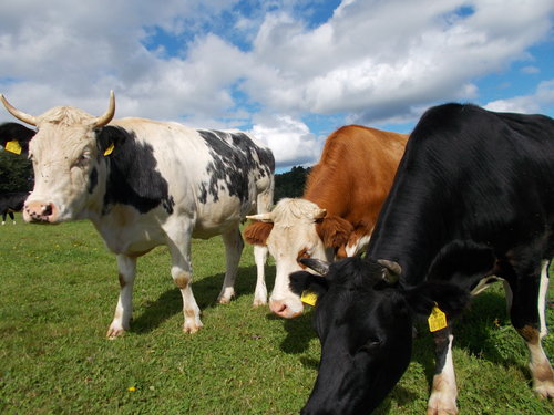 ATX 27.08.2014 028.JPG