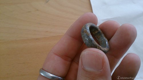 DSC_0145 (Large).JPG