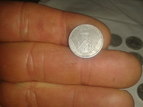 Bild 4106.jpg