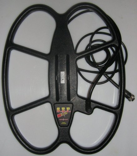 GMP 001.jpg