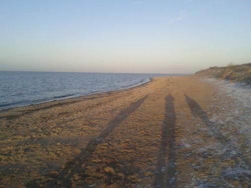Bild 4595.jpg