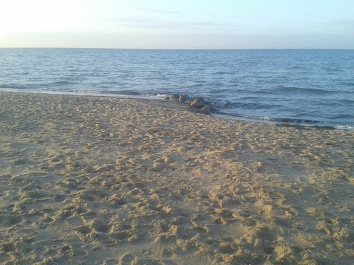 Bild 4598.jpg