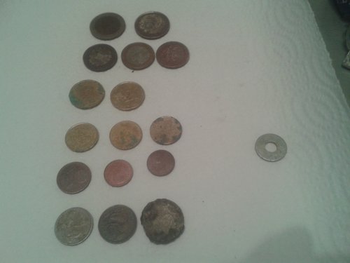 Bild 4602.jpg