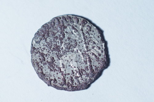 P2200016.JPG