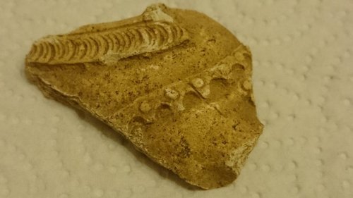 DSC_0176.JPG