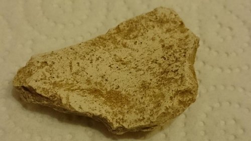 DSC_0177.JPG