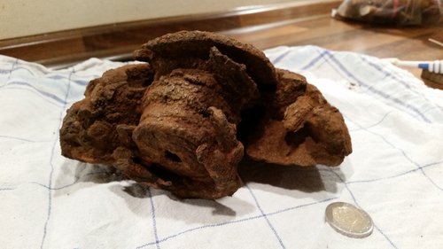 20150327_021632.jpg