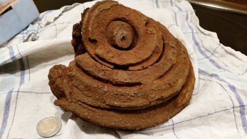 20150327_021655.jpg