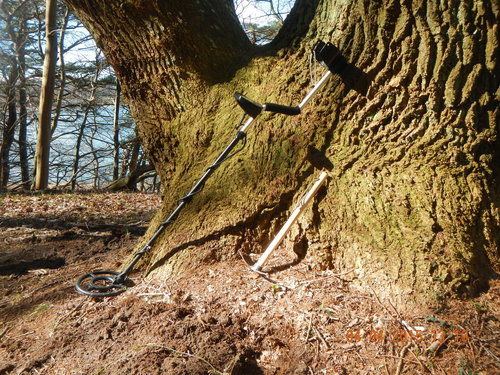 DSCN2267.JPG