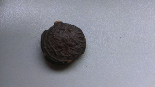 IMAG0340.jpg