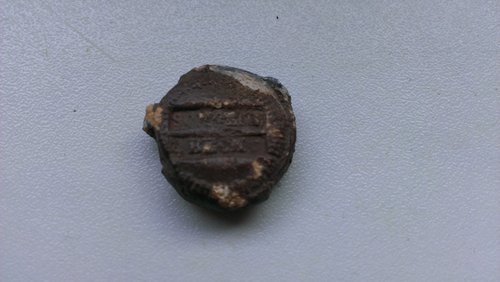 IMAG0341.jpg
