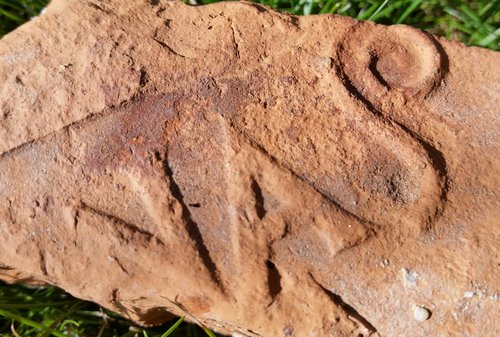 2015-08-23 18.26.04.jpg