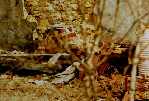 VERDUN Repros0009.JPG