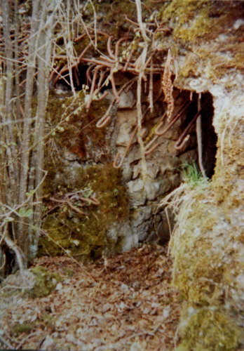 VERDUN Repros Anschl.Batt.VAUX0001.JPG