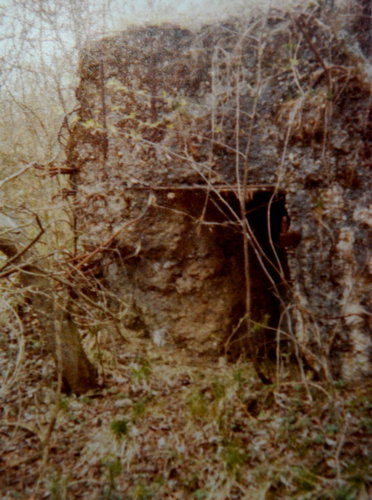 VERDUN Repros Anschl.Batt.VAUX0003.JPG