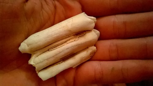WP_20150919_01_57_56_Pro.jpg