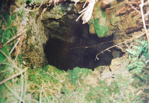 VERDUN Repros Fille Morte0016.JPG