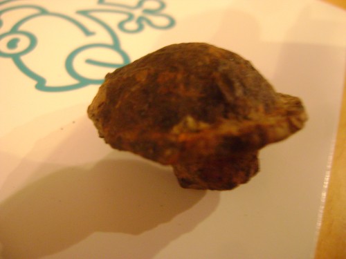 DSC02781.JPG