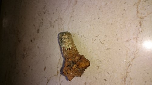 DSC_0056.JPG