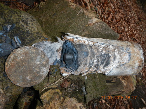 DSCN4490.JPG