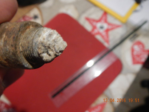 DSCN4623.JPG
