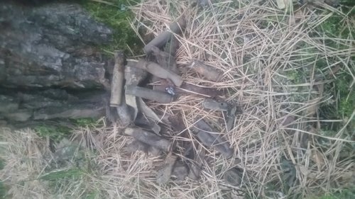 20160418_200319.jpg