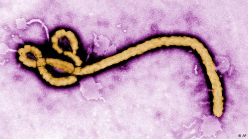 C__Data_Users_DefApps_AppData_INTERNETEXPLORER_Temp_Saved Images_ebola.jpg